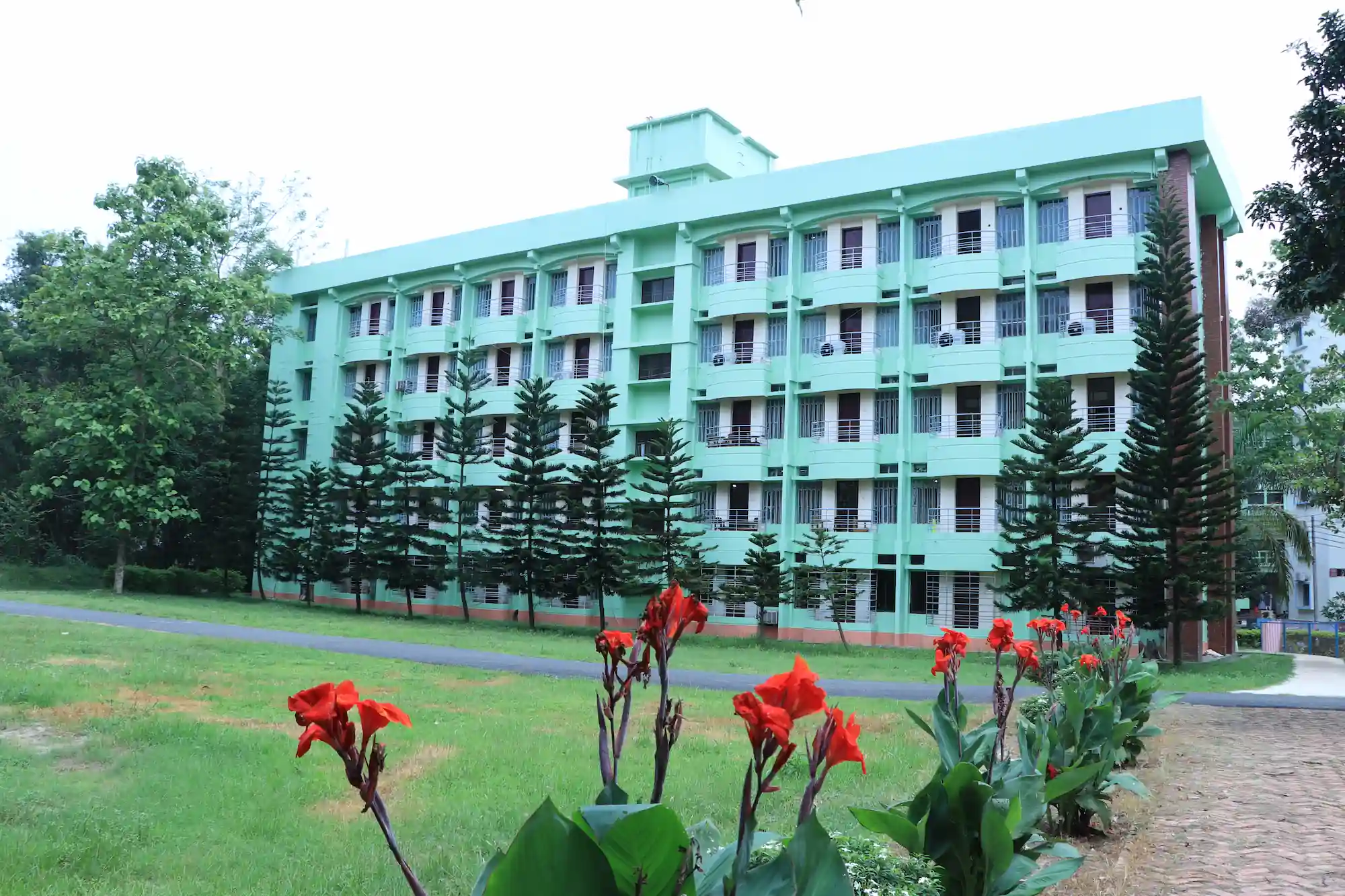 Department Background